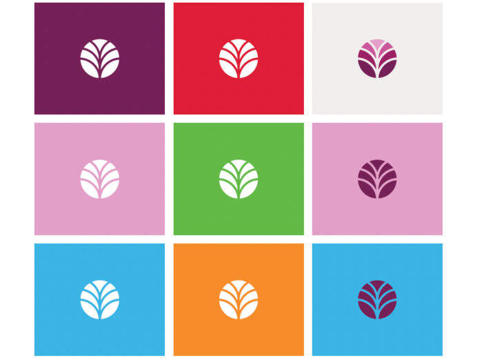 Everwise logo color samples