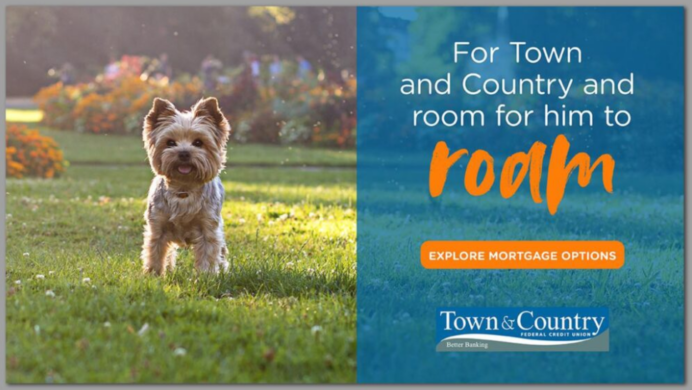 Creating Award-Winning Credit Union Marketing Campaigns | Adrenaline